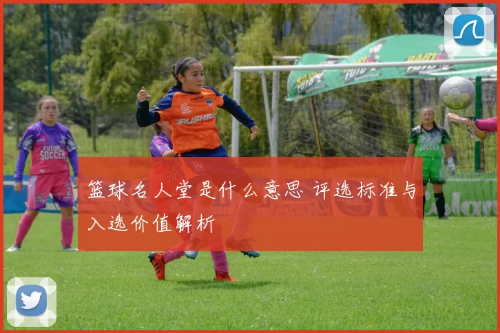 篮球名人堂是什么意思 评选标准与入选价值解析