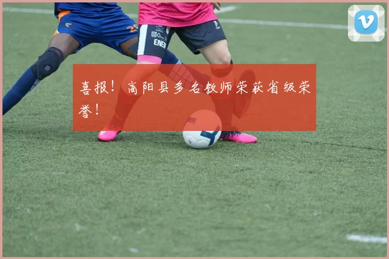 喜报！高阳县多名教师荣获省级荣誉！