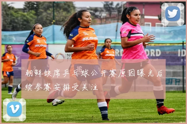 朝鲜缺席乒乓球公开赛原因曝光后续参赛安排受关注