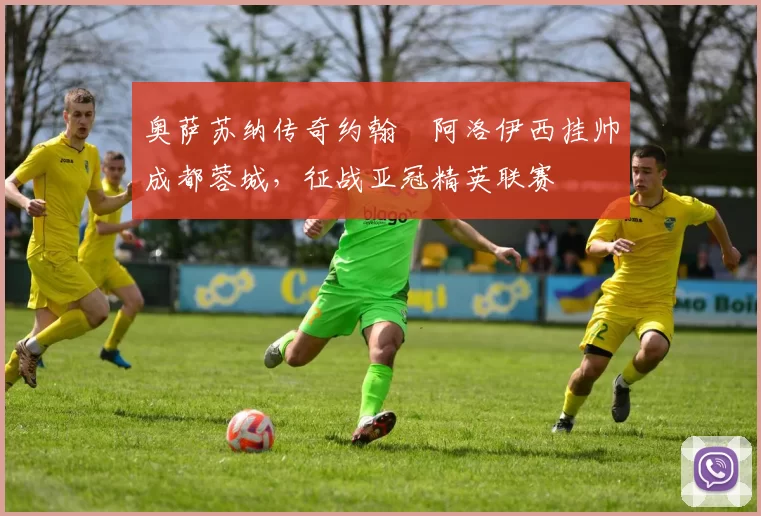 奥萨苏纳传奇约翰・阿洛伊西挂帅成都蓉城，征战亚冠精英联赛